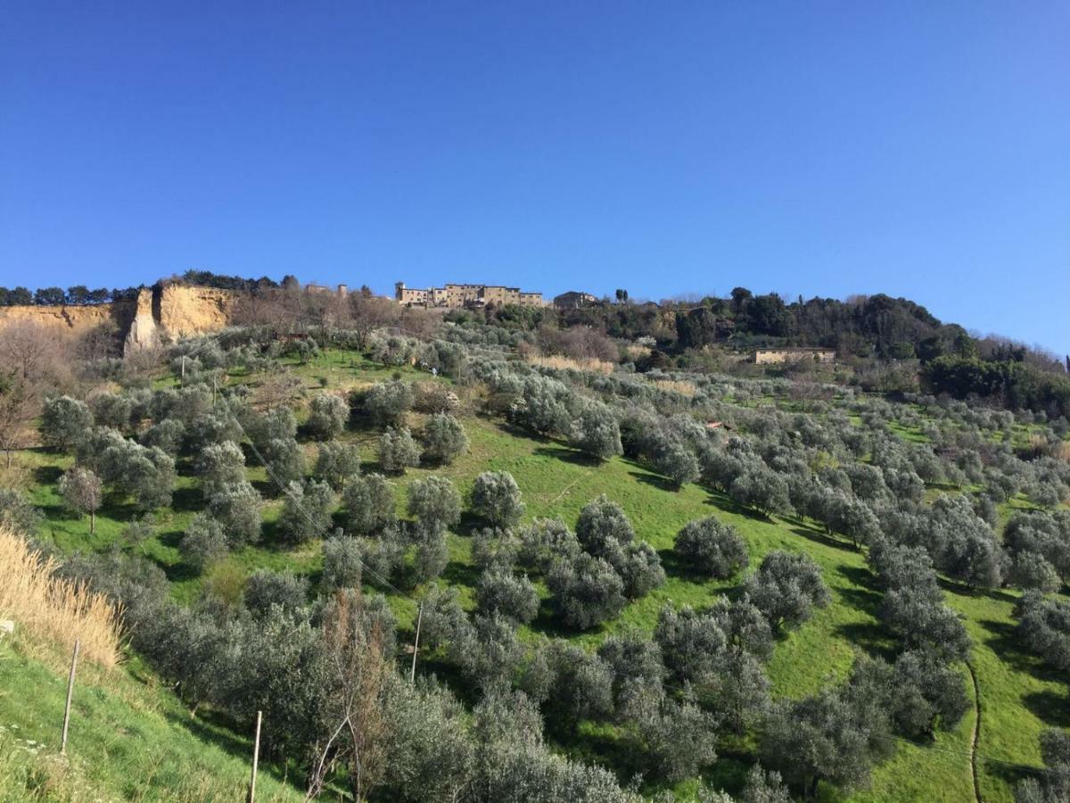 Podere Doccia Di Sopra Volterra Exterior photo